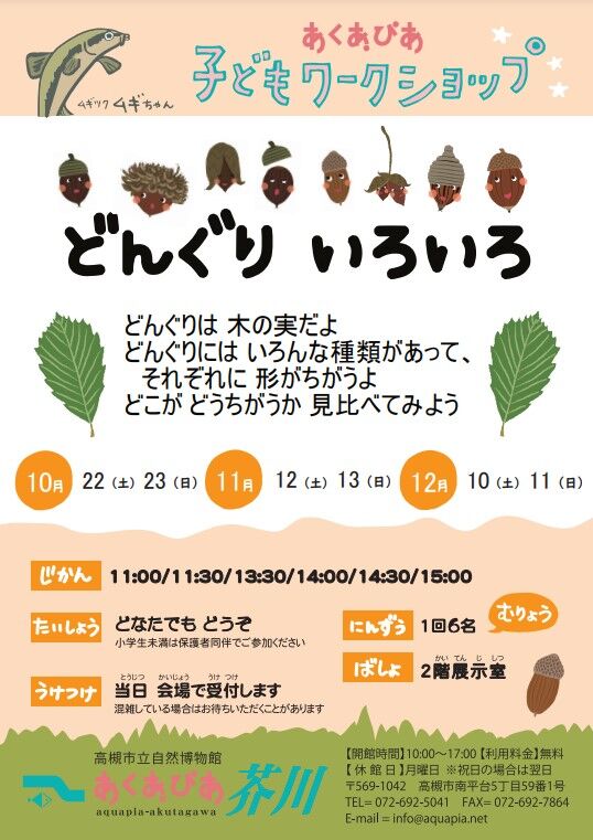 子どもワークショップ どんぐり いろいろ あくあぴあブログ 子どもワークショップ どんぐり いろいろ あくあぴあブログ