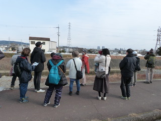 バードウォッチング