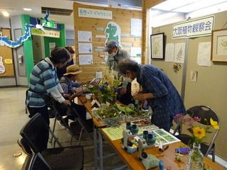 大阪植物観察会