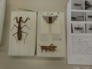 P1320393