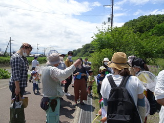 DSC05340