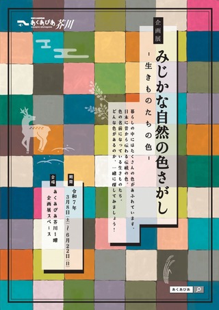 色展チラシ表_page-0001