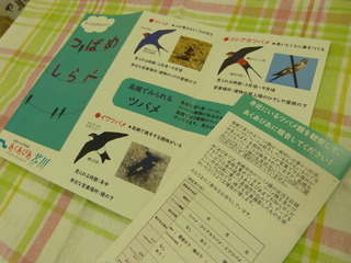 P1310250
