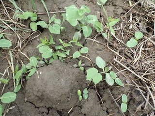 P6020119