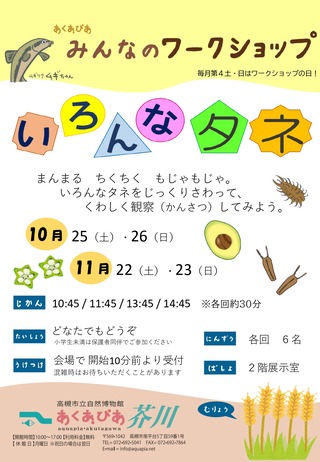 いろんなタネ_チラシ