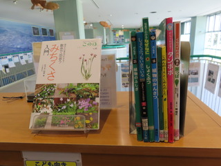 図書コーナー植物