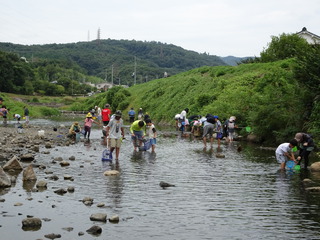みんなの魚とり