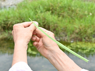 ススキを飛ばす
