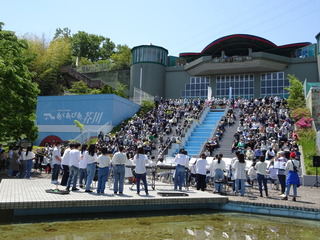 DSC08241