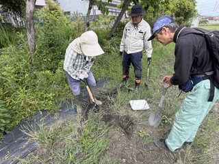 IMG_5736_384D676C