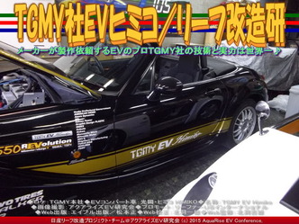 TGMY社EVヒミコ／リーフ改造研01