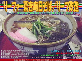 リーファー蔦吉晦日そば／リーフ改造03