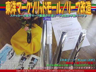 東洋マークソリッドモール／リーフ改造01