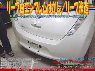 リーフ白エンブレムはがし/リーフ改造02
