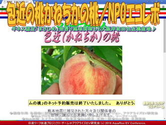 かねちかの桃／エコレボ産リーフ改造02