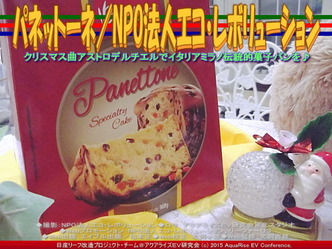 パネットーネ(2)/NPO法人エコ・レボリューション04 パネットーネ(2)/NPO法人エコ・レボリューション04