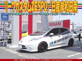 リーフカスタムZESPO／日産岸和田南04