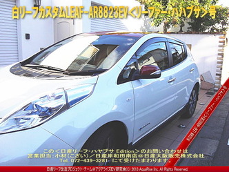 白リーフカスタム＜ハヤブサ＞＠日産リーフ改造3