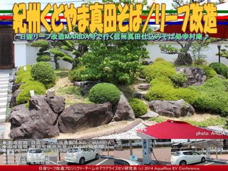 紀州くどやま真田そば/リーフ改造02