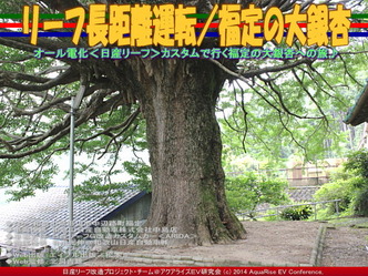 リーフ長距離運転／福定の大銀杏@日産リーフ改造02