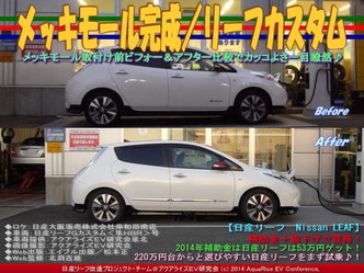 メッキモール完成/リーフカスタム01
