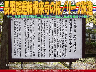 長距離運転根来寺の桜/リーフ改造02 長距離運転根来寺の桜/リーフ改造02