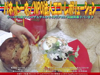 パネットーネ(2)/NPO法人エコ・レボリューション03 パネットーネ(2)/NPO法人エコ・レボリューション03