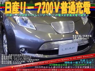 日産リーフ200V普通充電@リーフカスタム01