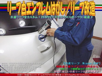 リーフ白エンブレムはがし/リーフ改造05