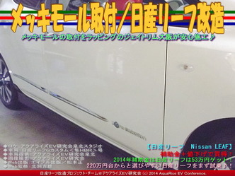 メッキモール(2)/日産リーフカスタム05