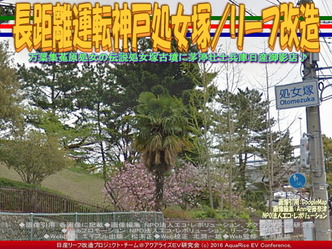 長距離運転神戸処女塚／リーフ改造03