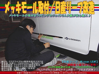 メッキモール(2)/日産リーフカスタム02