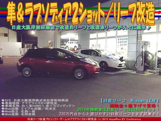 隼＆ラプソディア２ショット／リーフ改造01