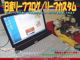 日産リーフの五自慢／リーフカスタム02