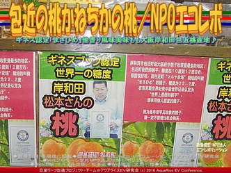 かねちかの桃／エコレボ産リーフ改造03