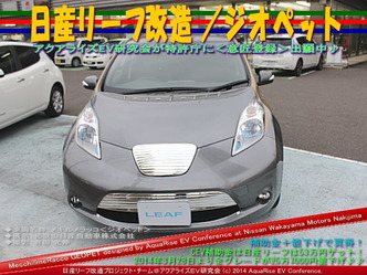 日産リーフ改造/ジオペット@アクアライズEV研究会 05