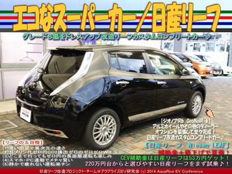 エコなスーパーカー／日産リーフ06