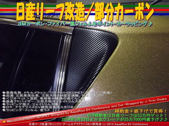 日産リーフ改造/部分カーボン@アクアライズEV研究会08