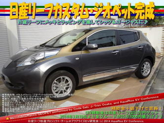日産リーフカスタム・ジオペット完成＠日産リーフ改造09