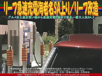 リーフ急速充電海老名SA上り/リーフ改造03 リーフ急速充電海老名SA上り/リーフ改造03