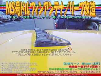 ＭＳ号ドルフィンアンテナ／リーフ改造05