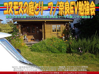 コスモスの庭とリーフ／奈良ＥＶ勉強会05