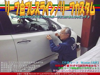 リーフ白プレスライン(2)／リーフカスタム02