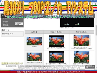 黒30XリーフDOP(2)／カーTVシステム画像01