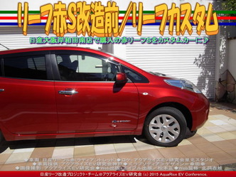 リーフ赤Ｓ改造前(2)／リーフカスタム03