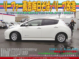 リーファー蔦吉晦日そば／リーフ改造01