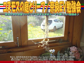 コスモスの庭とリーフ(3)／奈良ＥＶ勉強会03