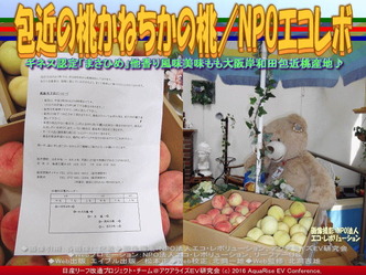 包近の桃/NPO法人エコ・レボリューション04 包近の桃/NPO法人エコ・レボリューション04