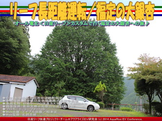 リーフ長距離運転／福定の大銀杏@日産リーフ改造05