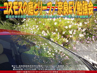 コスモスの庭とリーフ／奈良ＥＶ勉強会03